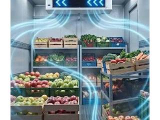 Fresh Produce Delivered with Care and Precision