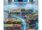 Fresh Produce Delivered with Care and Precision