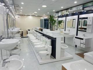 Wholesale Sanitaryware and Pipe Fittings for Smart Construction