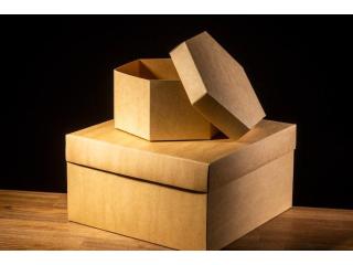 Premium Folding Carton Packaging Solutions | MAX Solutions