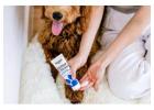 Trusted Nourish Natural Pet Wellness Products for Better Pet Care