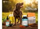 Pet Products Direct Sales Build a Business While Helping Pets