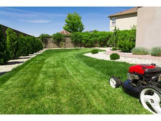 Reliable Lawn Mowing Service Papakura – Saheb Mowing Limited