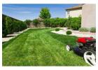 Reliable Lawn Mowing Service Papakura – Saheb Mowing Limited