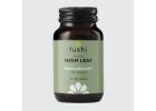 Premium Organic Neem Leaf Capsules with Trusted Quality