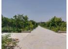 Premium Farm Units for Sale Near Ghati Subramanya Road | Starting at ₹1,200/Sq.Ft