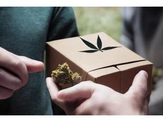 Scarborough Cannabis Delivery: Fast and the Same Day