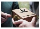 Scarborough Cannabis Delivery: Fast and the Same Day