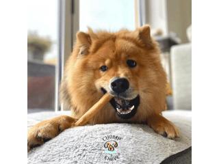 Chomper Bags for Puppies and Dogs