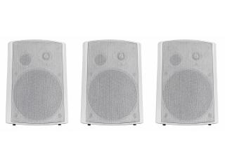 Wireless Speakers for Schools | Apex American Audio