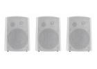 Wireless Speakers for Schools | Apex American Audio