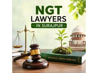 Need NGT Lawyers in Surajpur for Environmental Legal Matters?