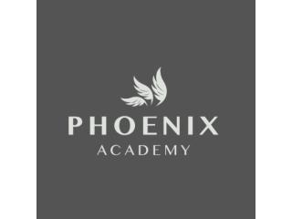 Personligt Lederskab Træning - Phoenix Academy
