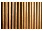 Plastic Door for Bathroom | Sarvesh