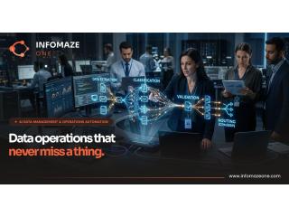 Outsourced Data Management Services