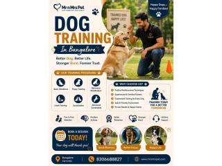 Dog Training Service