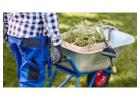 Landscaping Services in Pakuranga | Expert Landscape Solutions