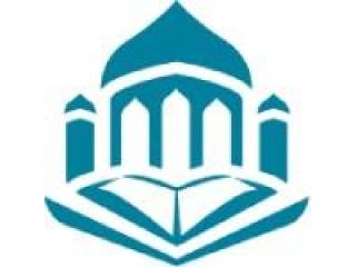 Premium Mosque Carpet Dubai | Luxury Masjid Carpets