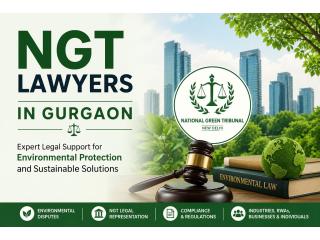 Why Hire NGT Lawyers in Gurgaon for Environmental Cases?