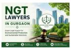 Why Hire NGT Lawyers in Gurgaon for Environmental Cases? 