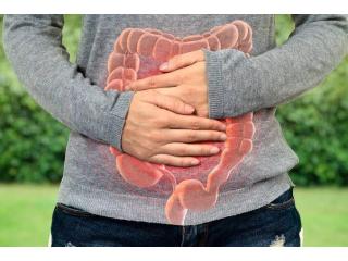 Restore Your Digestive Health with the Best Gastroenterologist in Ahmedabad