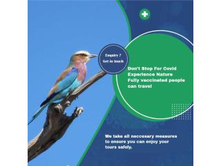 Safe Africa Safari Travel – COVID Secure Tours & Trips