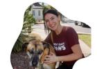 Reliable West Hollywood Dog Sitters | West Coast Paws