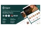What Makes a Jewelry Store WordPress Theme Ideal for Modern Retailers