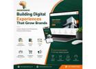 UI & UX Development Services in Tanzania for Modern Websites and Mobile Applications
