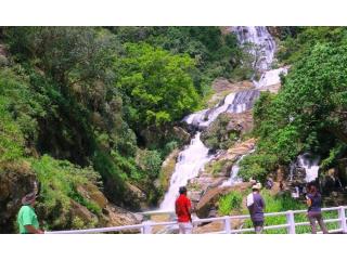Escape to Sri Lanka: Your Complete Guide to an Unforgettable Island Holiday