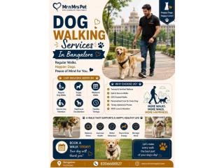 Dog Walking Services