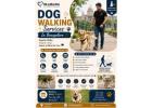 Dog Walking Services