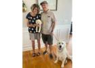 Golden Retriever Puppies Tennessee - Beautiful English Cream Goldens