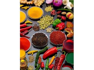 Premium Spice Extracts & Oleoresins Manufacturer India