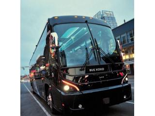 Miami Charter Bus Rental for Sightseeing Tours