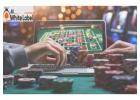 Best Betting Panel Provider for Online Gaming