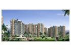 Check out 2, 3 & 4 BHK flats in Techzone 4