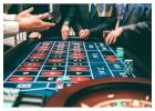 Taj777Book Register for Live Betting and Casino Games