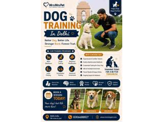 Dog Training Service