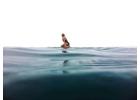 Tenerife Surfing School | Endlesssummertenerife.com