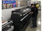 Choose The Best Blue Printing Near Me in