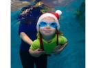 Expert Baby Swimming Lessons in Hoxton Park - Swim 2 Me
