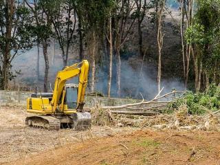 Transform Your Land with Expert Land Clearing in Wollongong & Dapto