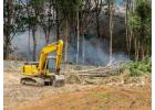 Transform Your Land with Expert Land Clearing in Wollongong & Dapto