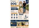Dog Walking Services