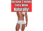 Bazooka men potency +256793306060 Congo dust Cenforce Enlarge Penis Size