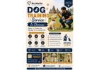 Dog Training Service
