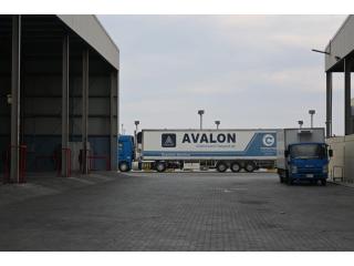 Reliable Box Trailer Trucking Service in UAE | Avalon Transport
