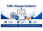 CIBIL Dispute Guidance to Correct Credit Report Errors