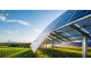 Maximize Your Savings with Expert Solar Company in Lake County